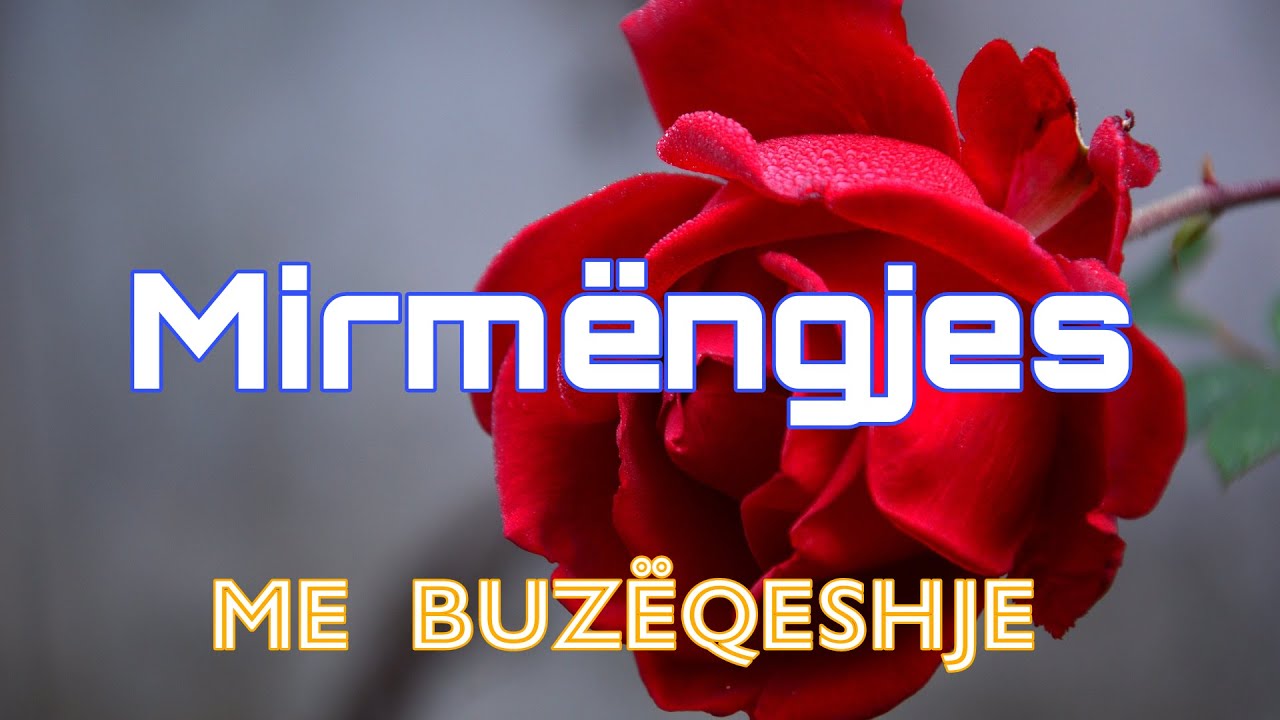 Mirmëngjes 💟☀️💟