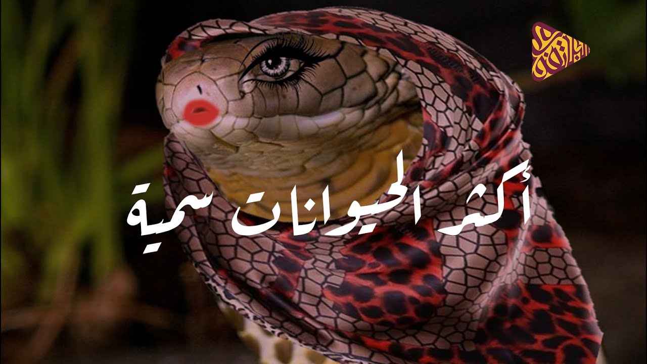 البلاتفورم - أكثر الحيوانات سُمية
