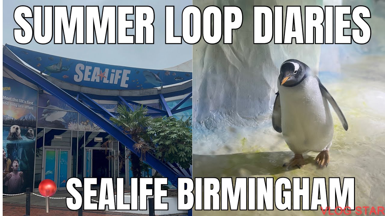 National SEALIFE Center Birmingham-Summer loop diaries 2025 Ep5