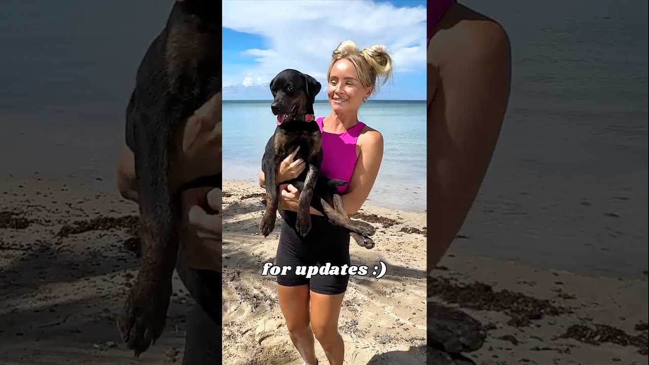 I Saved an Abandoned Puppy!