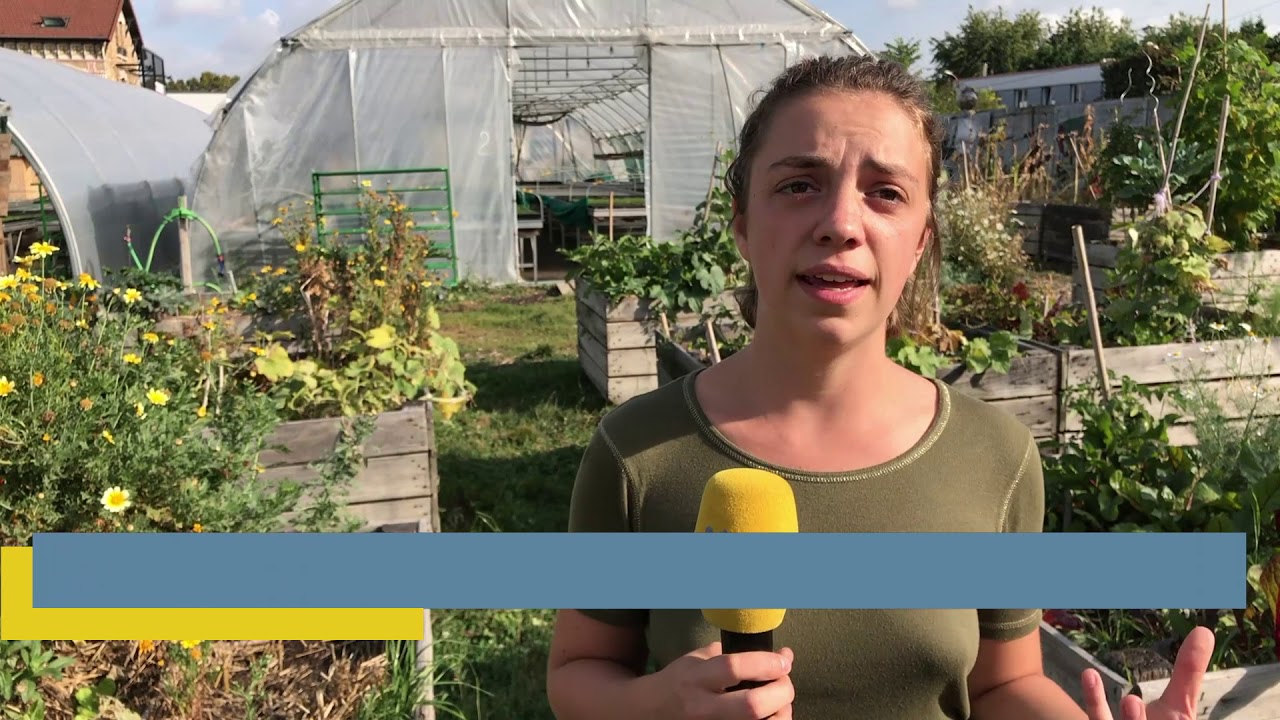 Jardins ouverts : la micro-ferme urbaine de Romainville