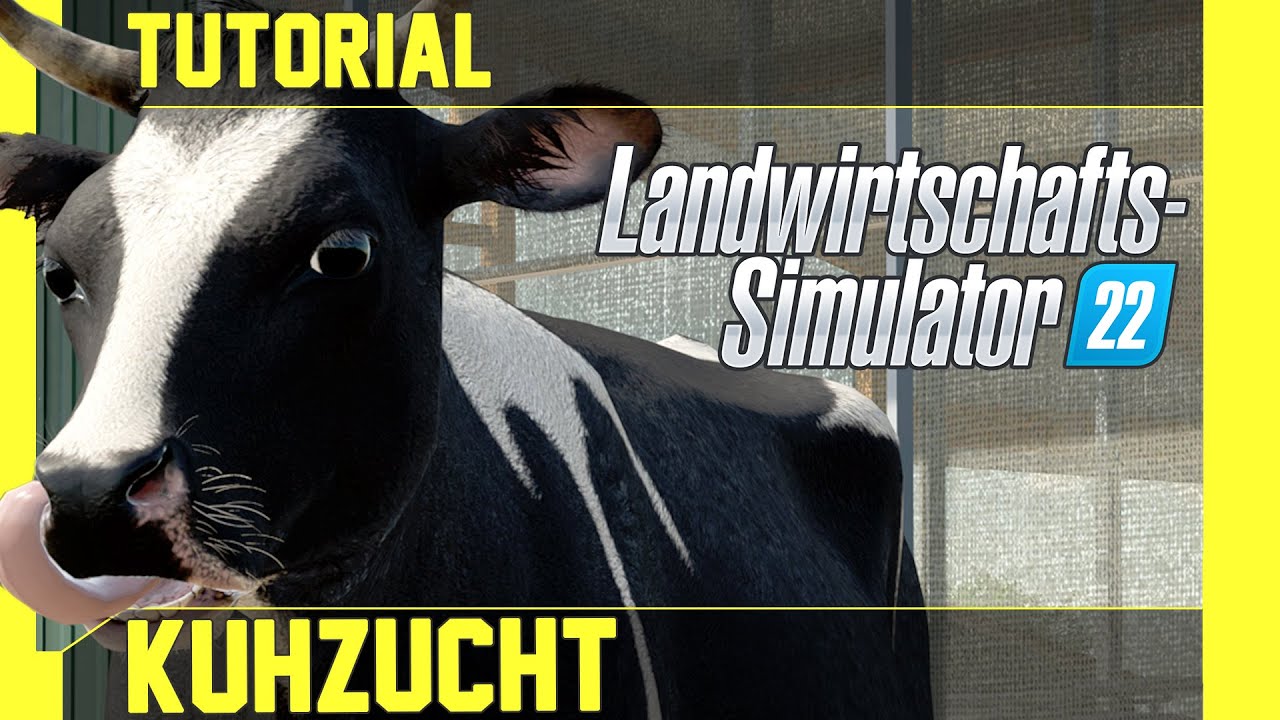 LS 22 Kühe Tutorial: Kurz, leicht und verständlich erklärt