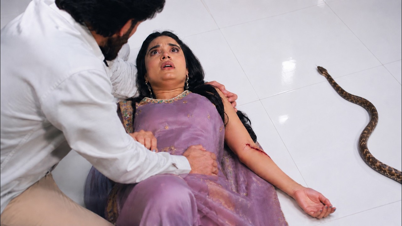 जाने अनजाने हम मिले आज का अपडेट | बच्चे को बचाते हुए रीत को काट लिया सांप, राघव हुआ पैनिक