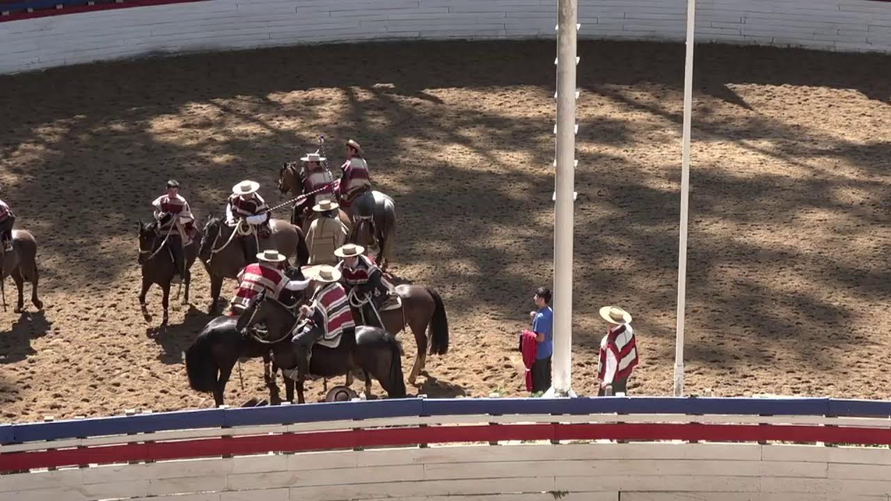 RODEO OFICIAL CLUB PEMUCO RIO PAL - PAL - (Asoc.Ñuble Cordillera) - 2° SERIE LIBRE