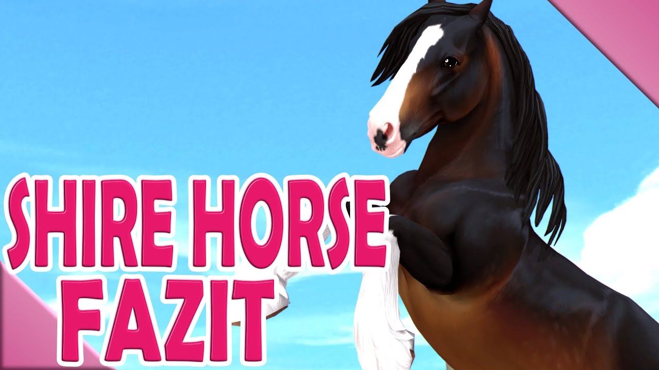 Mein 𝐅𝐀𝐙𝐈𝐓 zum Shire Horse 🐴💭 Kaddi's Stallgeflüster