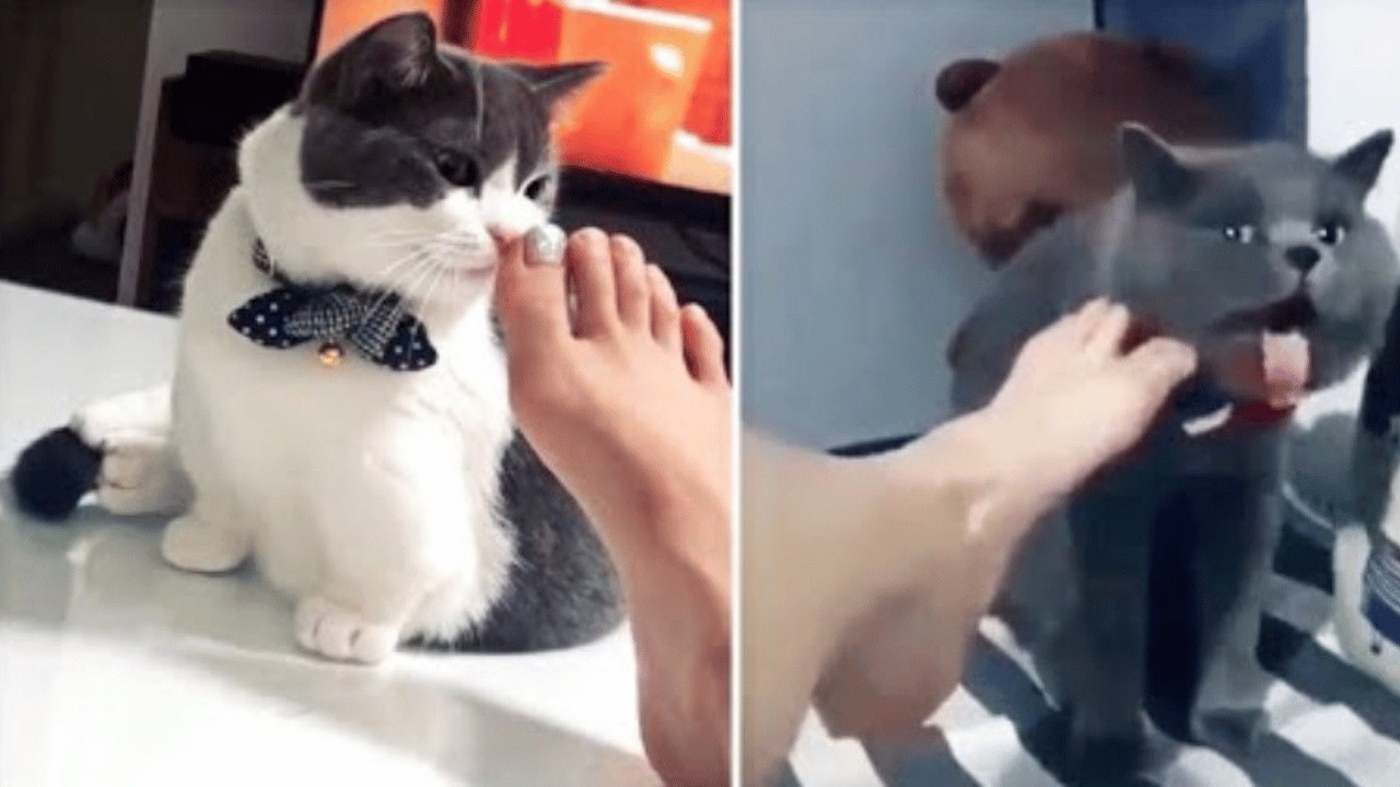 Funniest Cats and Dogs Clips 2025 😹🐶 | Try Not To Laugh Challenge 😂 #funnycats #funnydogs