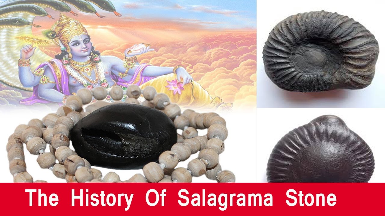 The History Of Salagrama Stone | Gandaki River | Lord Vishnu | Veltvtamil