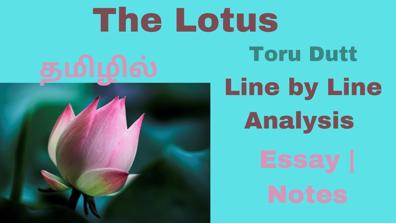 The Lotus by Toru Dutt| Line by Line Analysis| Summary in Tamil | Essay | Notes| தமிழில்
