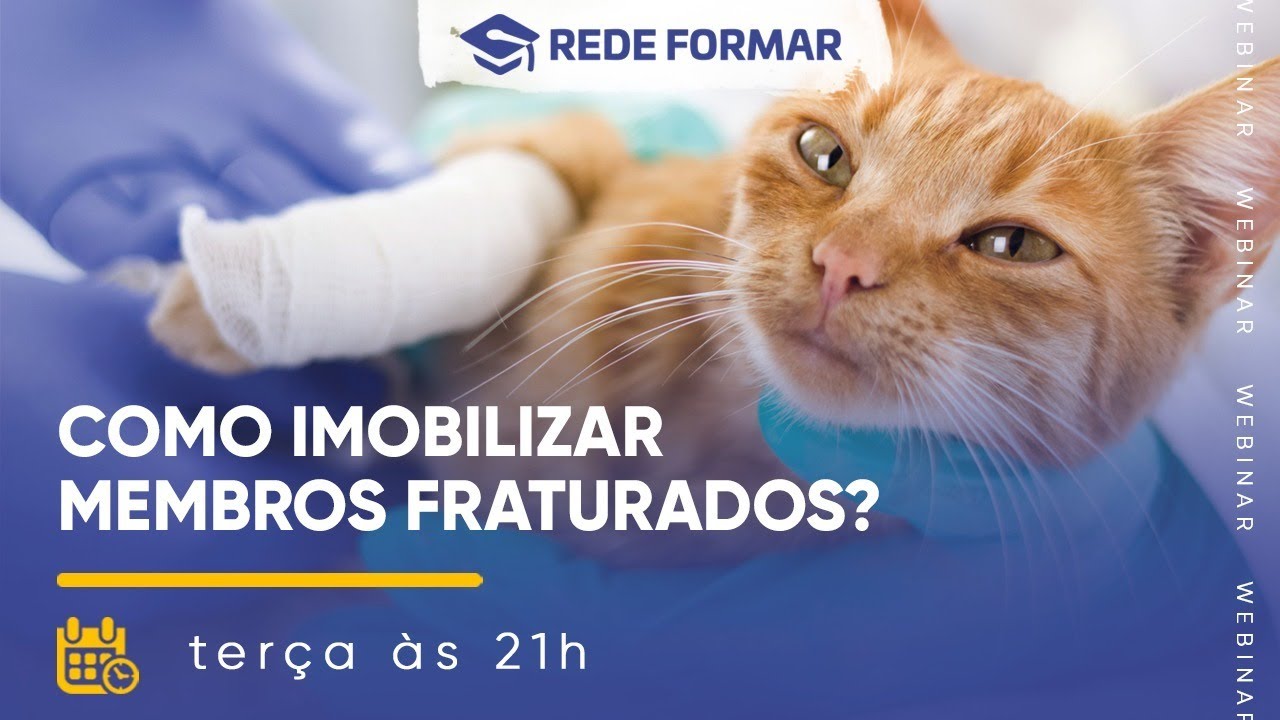 WEBINAR | COMO IMOBILIZAR MEMBROS FRATURADOS - Profª Karina Henriques - Rede Formar