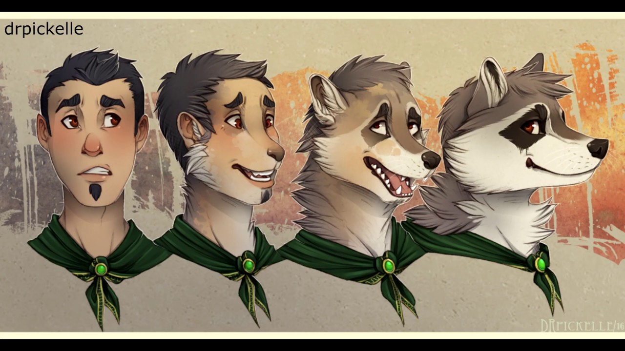Raccoon Transformation / Raccoon TF