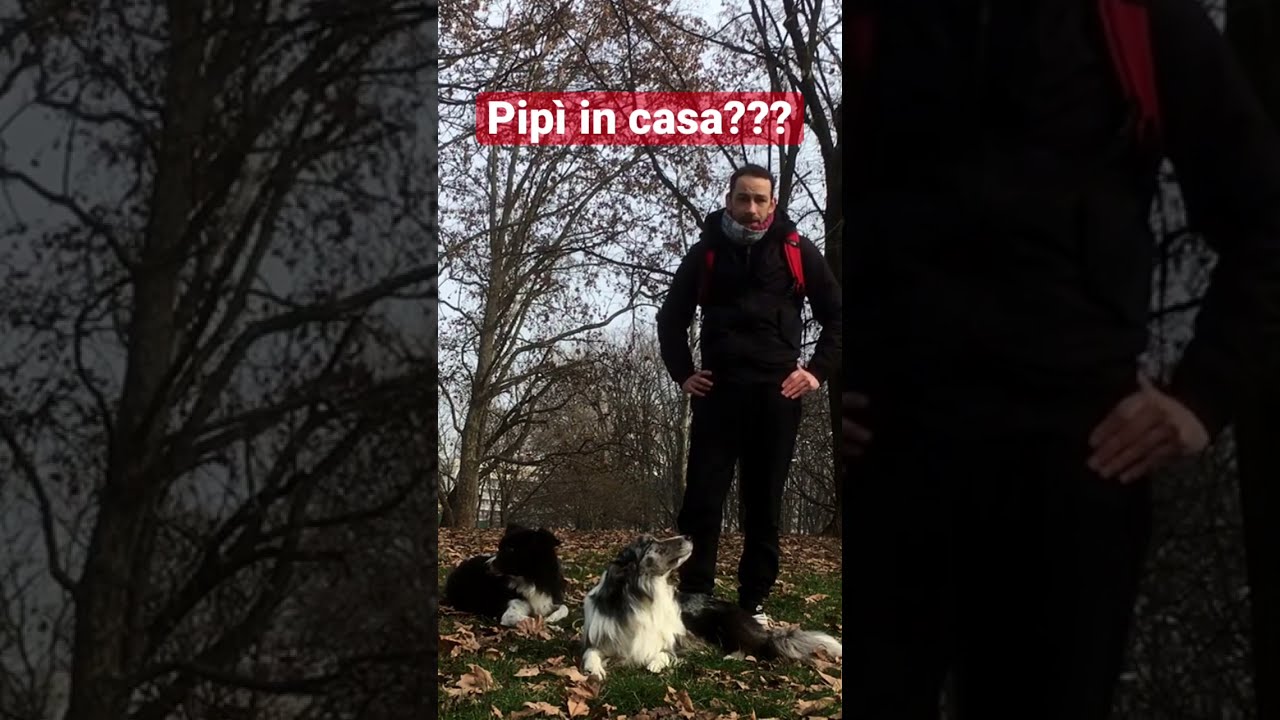 CUCCIOLO che fa i BISOGNI in casa?? adesso BASTA!!
