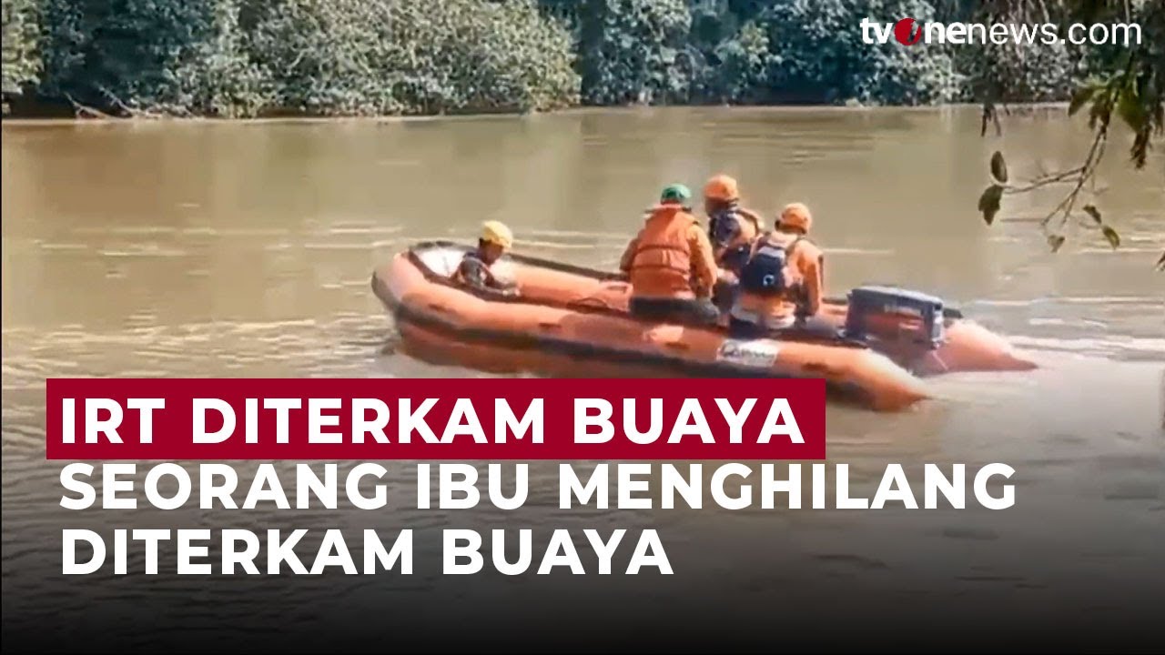 Pencarian Seorang Ibu di Sumut yang Menghilang Diterkam Buaya saat Mandi di Sungai | OneNews Update