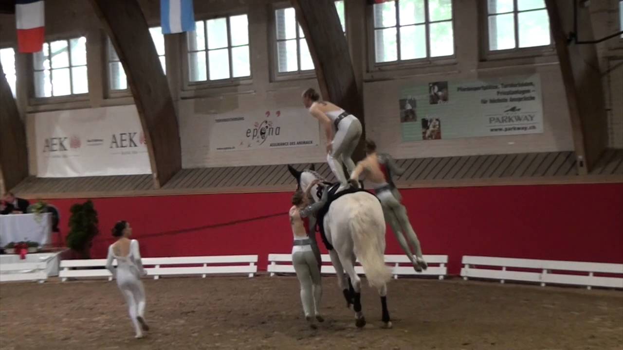 CVI Bern 2016 - Team Lütisburg SUI