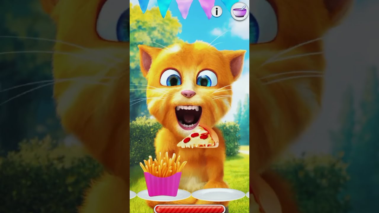 Talking Ginger 2 🐈 eating PIZZA 🍕FUNNY Video 🤣🤣 | talking ginger |