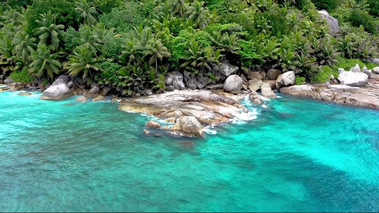 Soothing Ambient Sounds: Tropical Paradise (1 Hour)