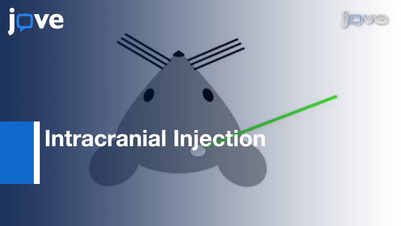 Intracranial Injection Of Adeno-Associated Viral Vectors l Protocol Preview