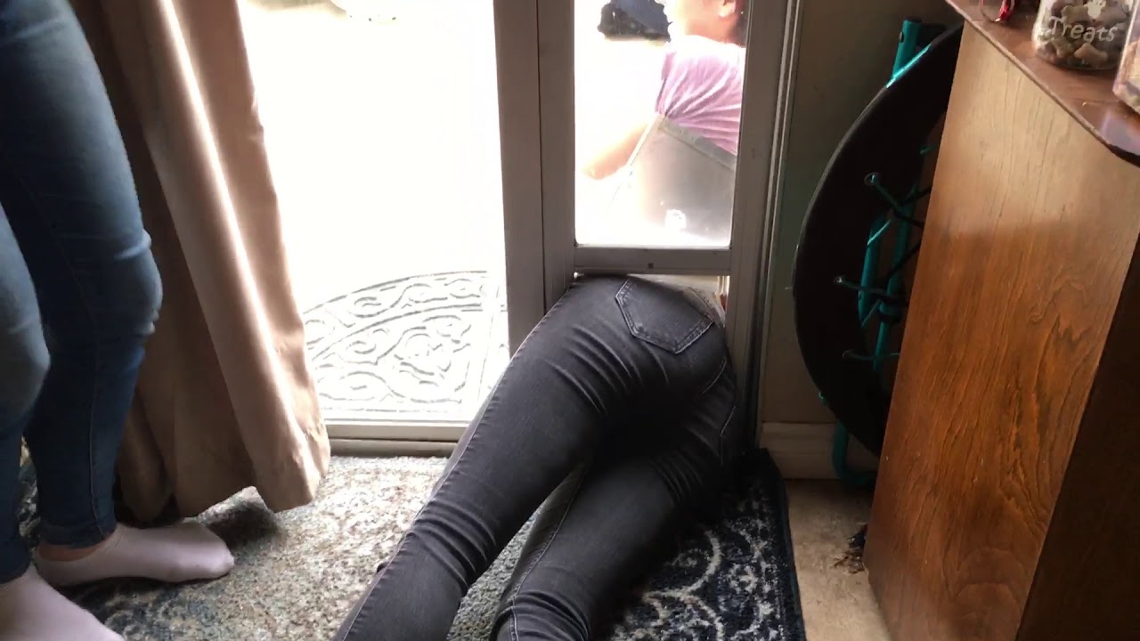 I squeezed through a small dog door because Emily said I have no balls (angle 2)