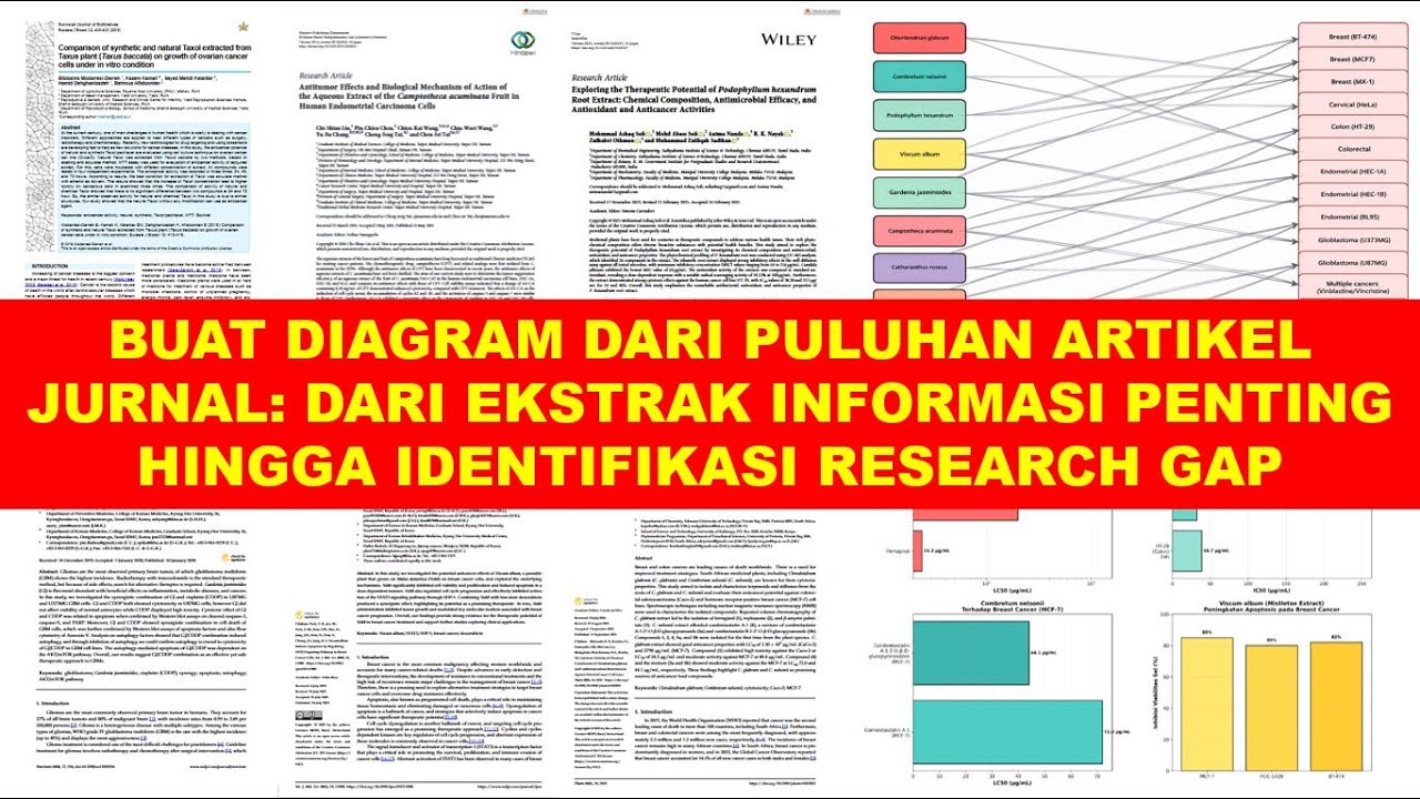 Cara Cepat Menemukan Tema, Pola, dan Research Gap: AI Ini Bisa Merangkum 100 Artikel dalam Diagram