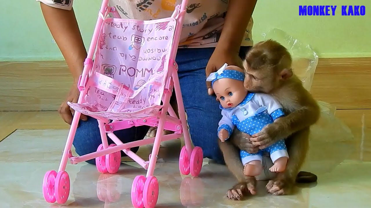 Amazing Monkey | Adorable Monkey Kako Hugging New Beautiful Baby Doll