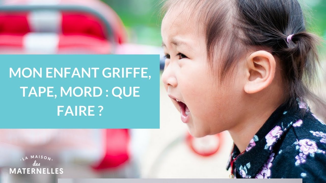Mon enfant griffe, tape, mord : que faire ? - La Maison des Maternelles #LMDM