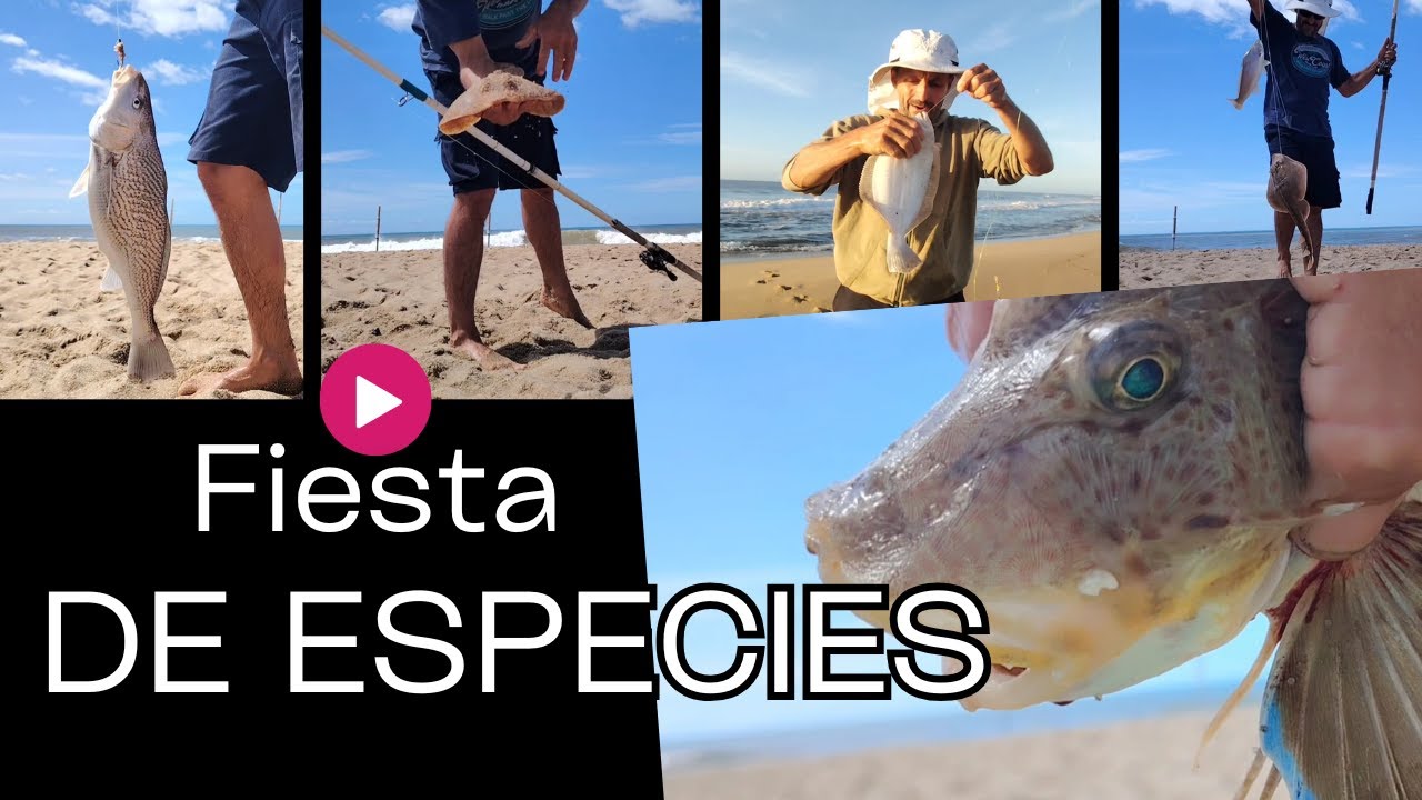 Pesca en las garzas con amigos. http://youtube.com/@pescaenfamiliauy