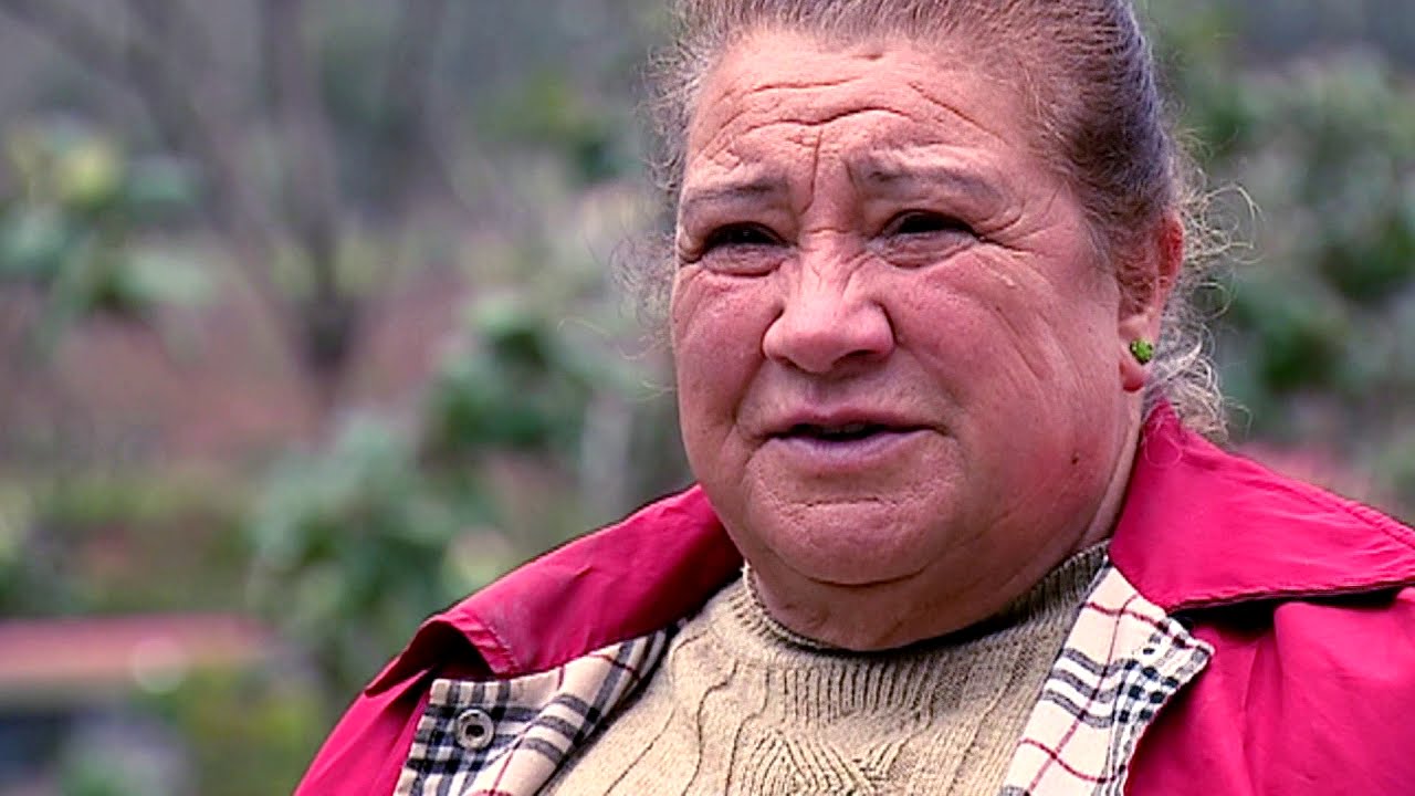 Emissão do Jornal da Tarde que assinala os 20 anos da maior tragédia rodoviária do país | RTP