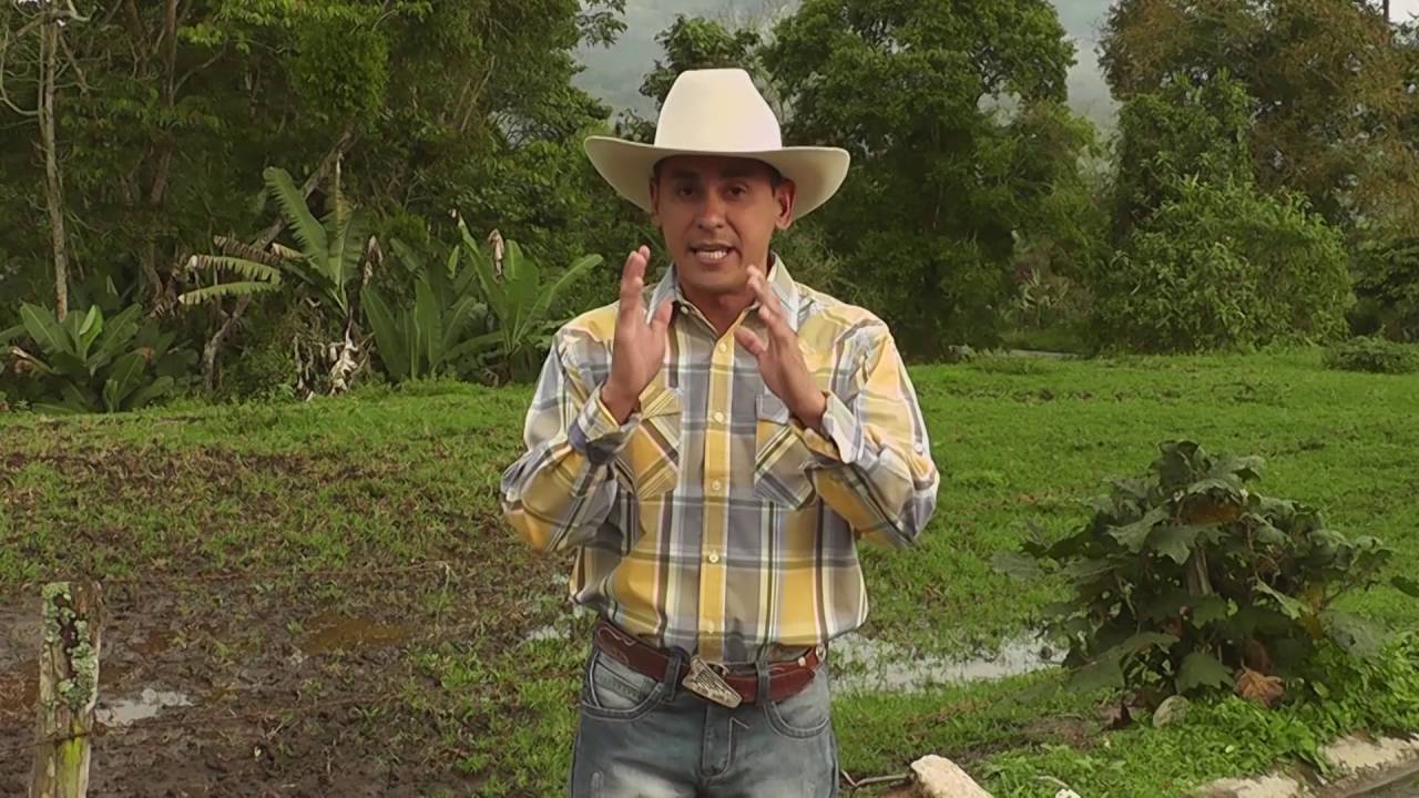 JES&Uacute;S AGUILAR   EL BLANDITICO