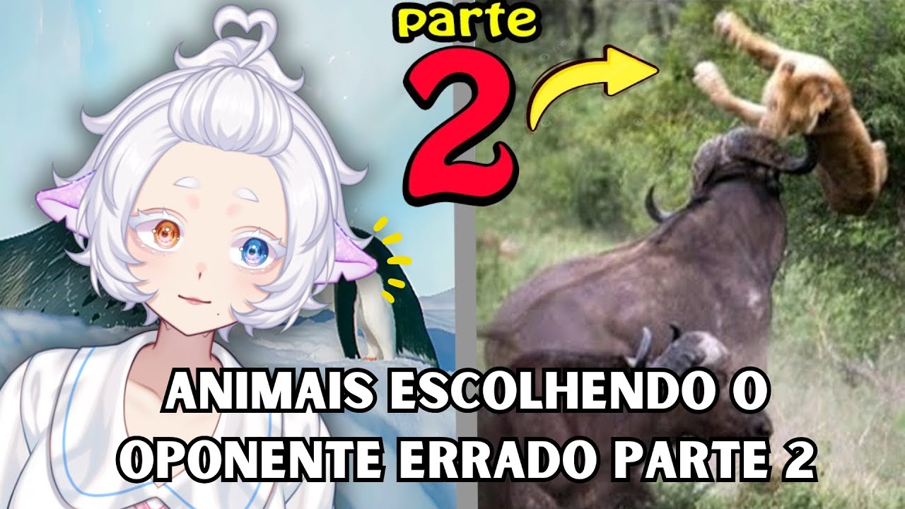 Quando os Animais Escolhem o Oponente Errado PARTE 2 - Fala de Tudo | Mochi Yuki