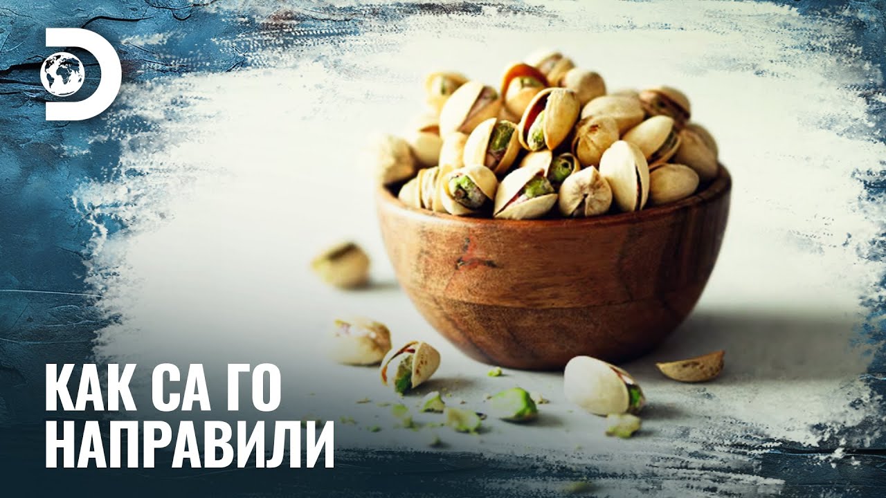 Как се отглеждат фистиците? | Как са го направили?