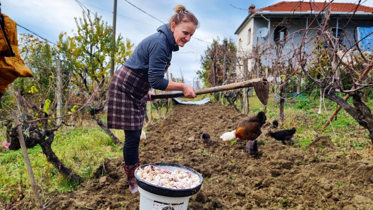 A Day  in the Life of a Villager | Beginning of Winter