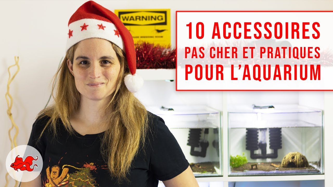 10 accessoires pas cher et pratique pour aquarium