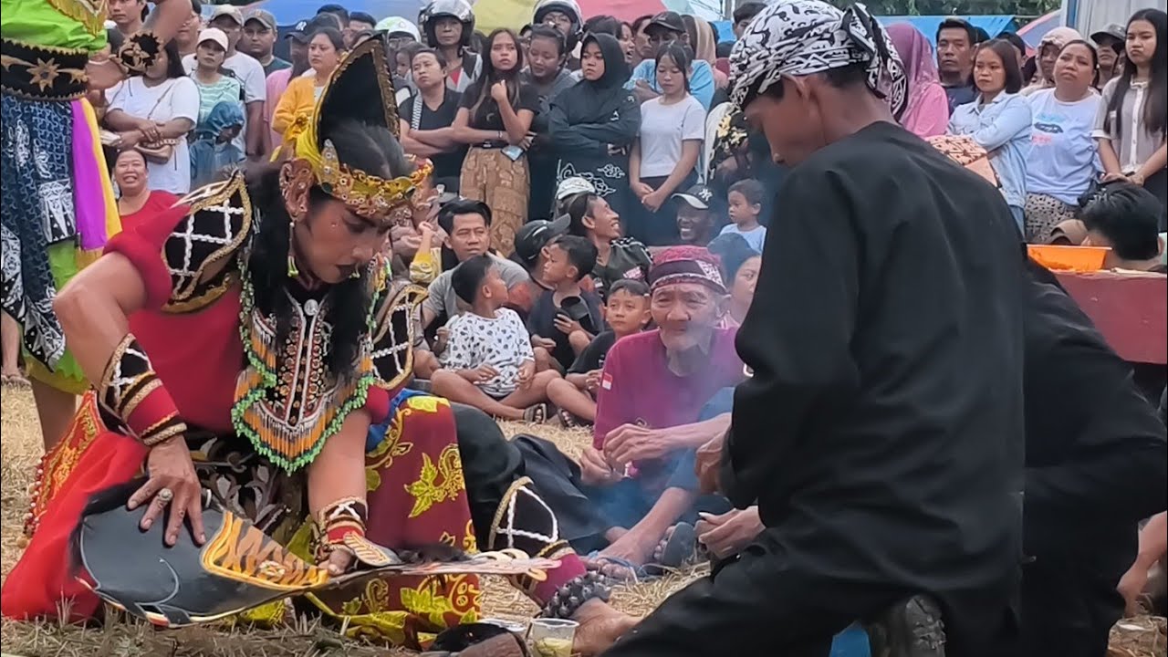 Gumoh, Enak !! Pesona Prabu celeng kang mas wihik part 2 #jaranan Sidodadi baluk live Bakungan.