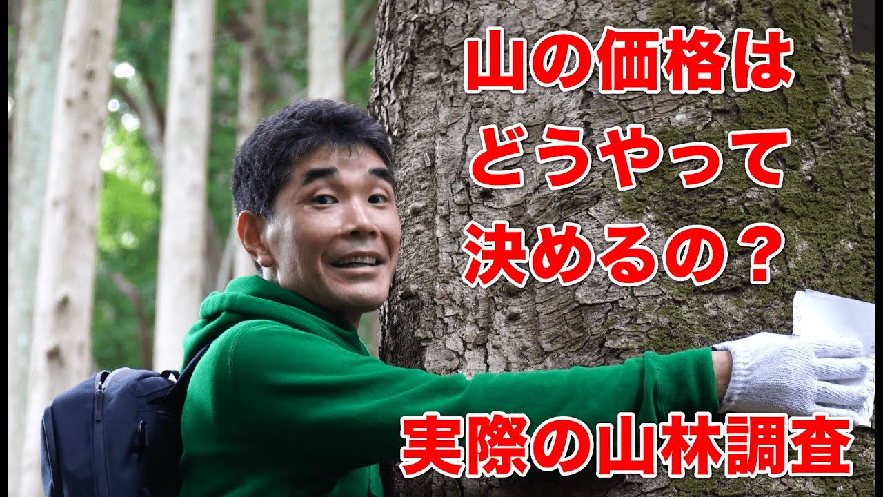 山林価格の決め方　山林調査の実際をお見せします【前編】