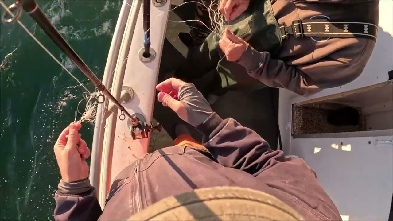 Blackfish Fishing on the Captain Lou from Freeport, NY - October 25, 2025