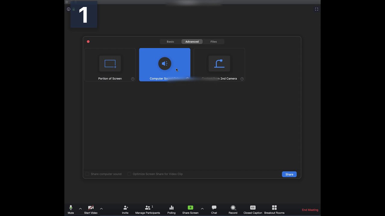 Sharing Audio with Zoom
