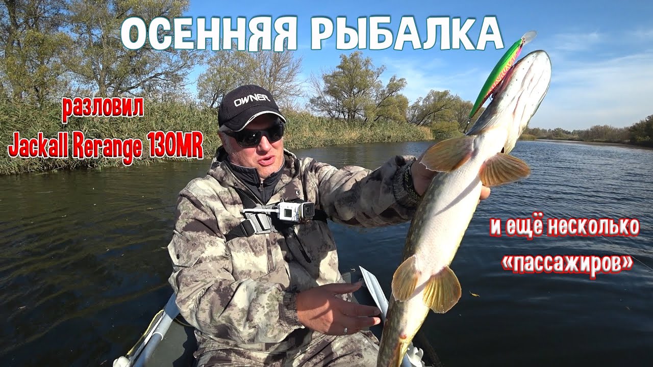 Осенняя рыбалка. Разловил Jackall Rerange 130MR и ещё несколько «пассажиров»