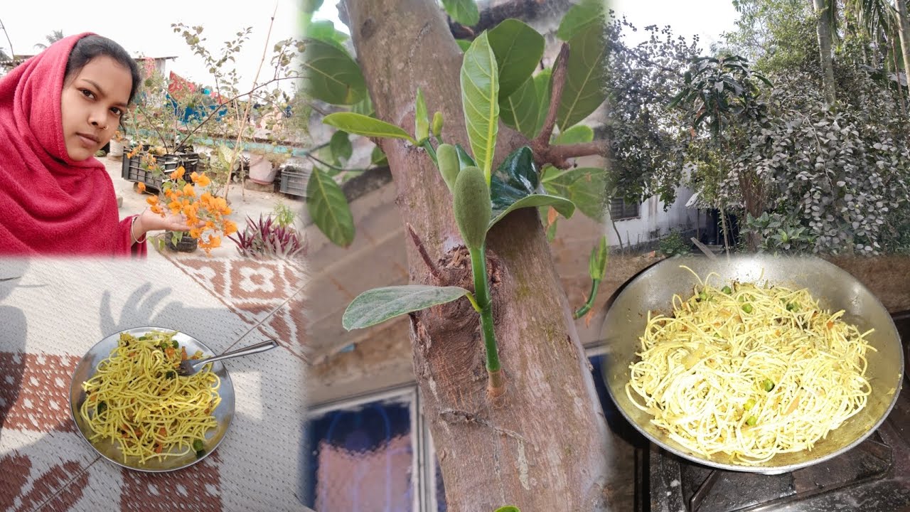 গাছে এতো পরিমানে কাঁঠাল ধরেছে 😍|| Bangla Vlog||Daily Vlog