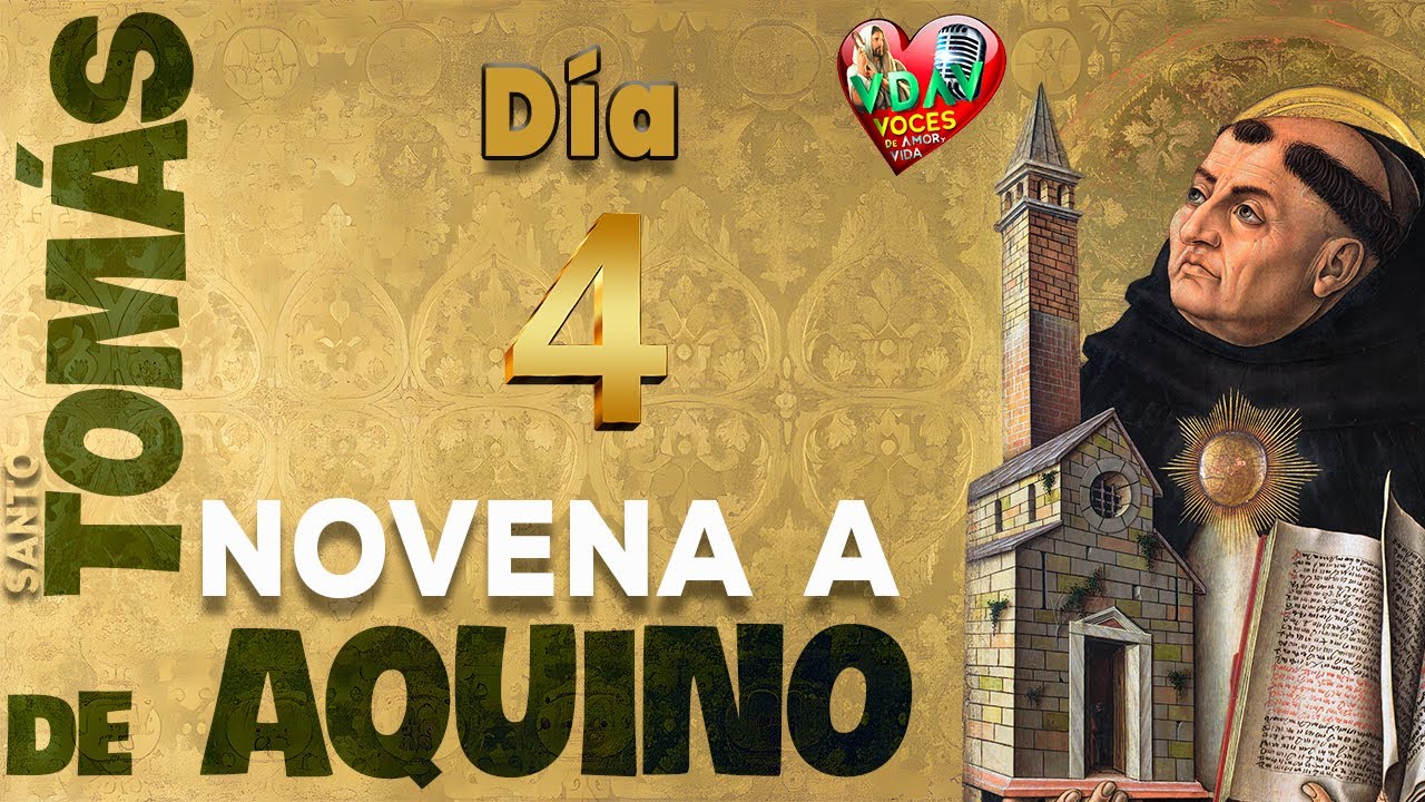 NOVENA A SANTO TOMÁS DE AQUINO 🌿 Día Cuarto : la paz en Cristo #novenaasantotomásdeaquino #díacuarto