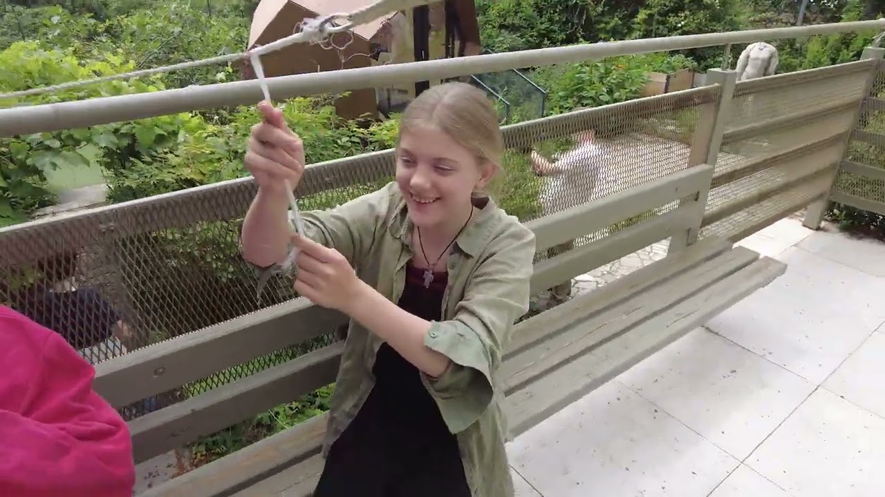 BPS GELLÉRT érzelmi nevelés