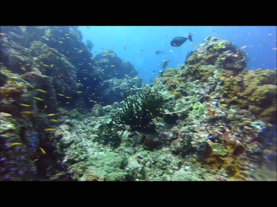 Diving Pulau Weh The Canyon