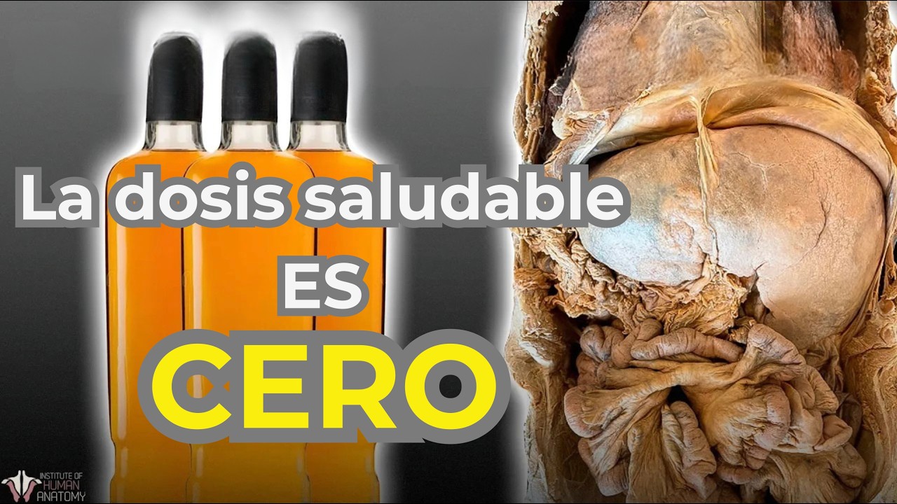 Las REGLAS del ALCOHOL cambiaron: OMS