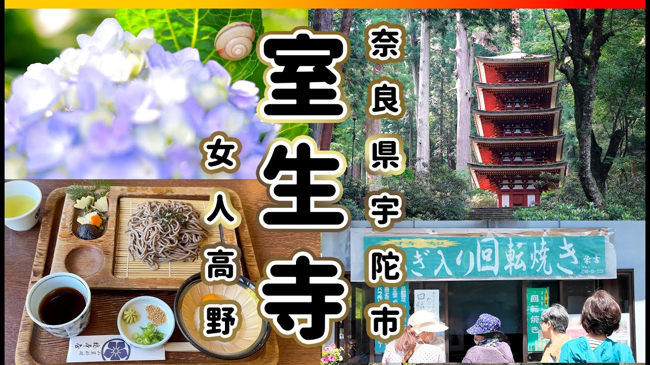 [ 奈良 ] 室生寺 女人高野の別名を持つお寺 〜参道で食べ歩き 奥の院まで700段の階段を登る〜 Nara Vlog