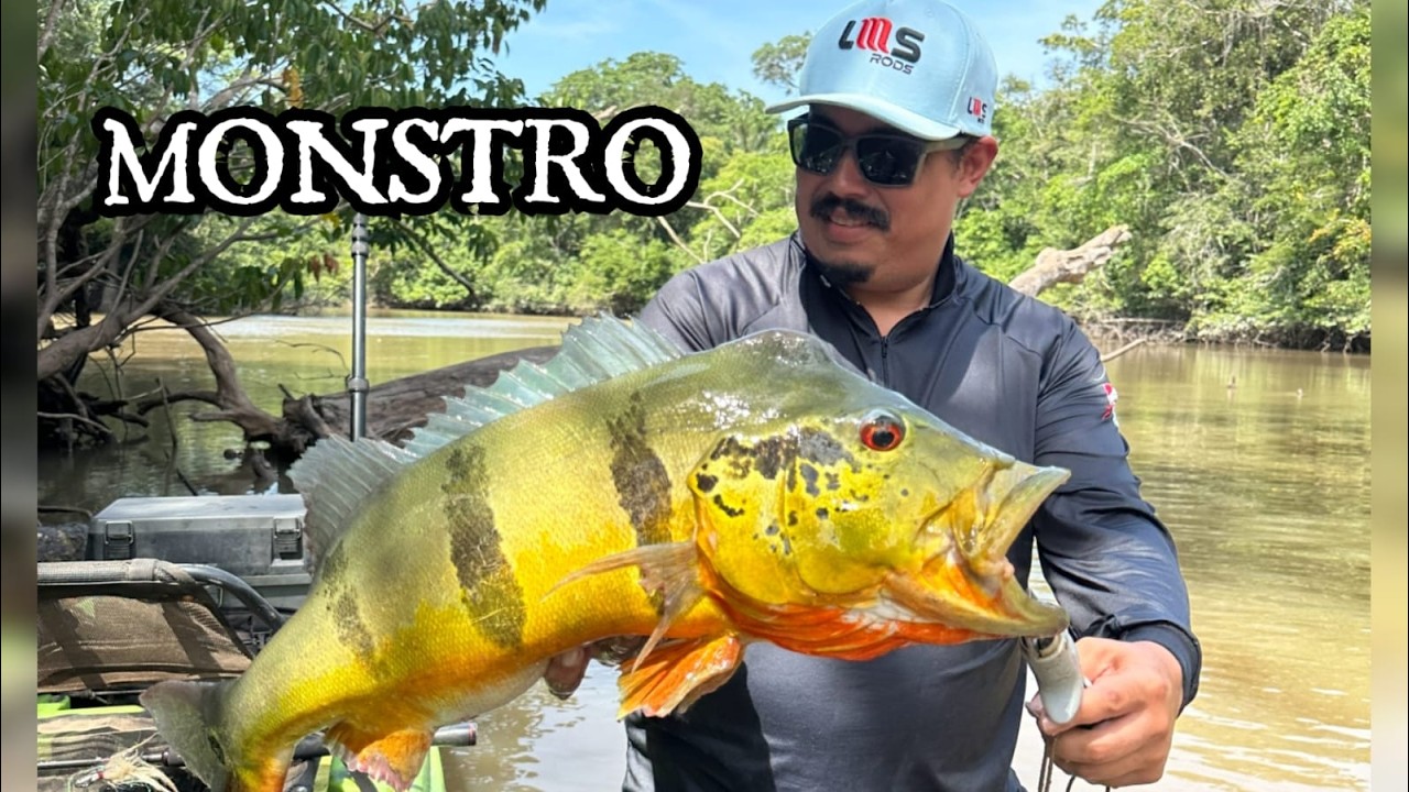 UM DOS MELHORES LUGARES PARA PESCAR TUCUNAR&Eacute; EM RORAIMA? Pescaria no S&iacute;tio Beira Rio