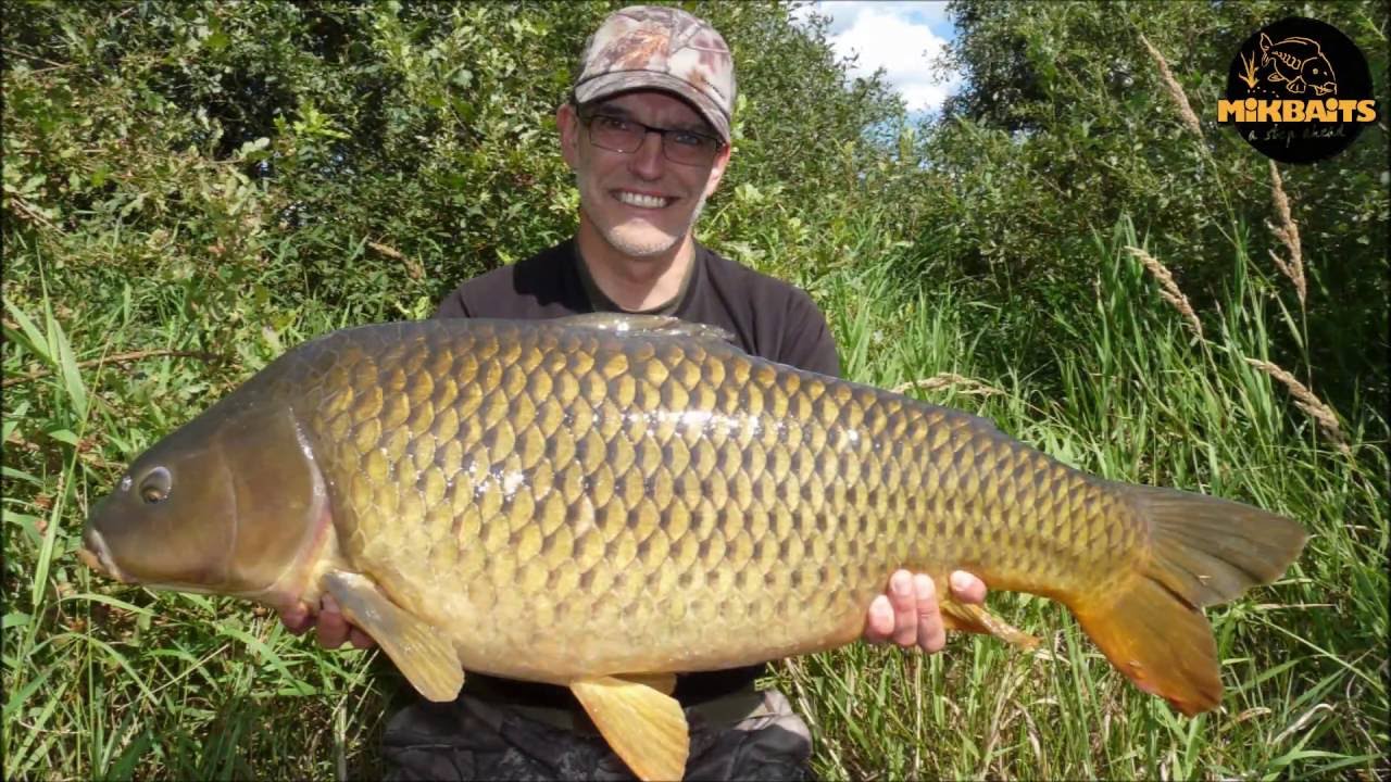 Vlkovská pískovna kapr 92cm/14kg