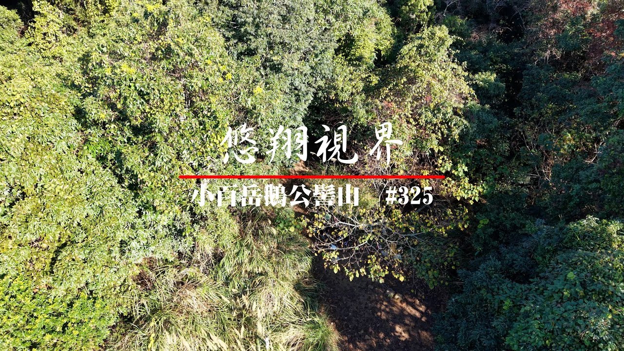悠翔視界#325 - 台灣小百岳鵝公髻山