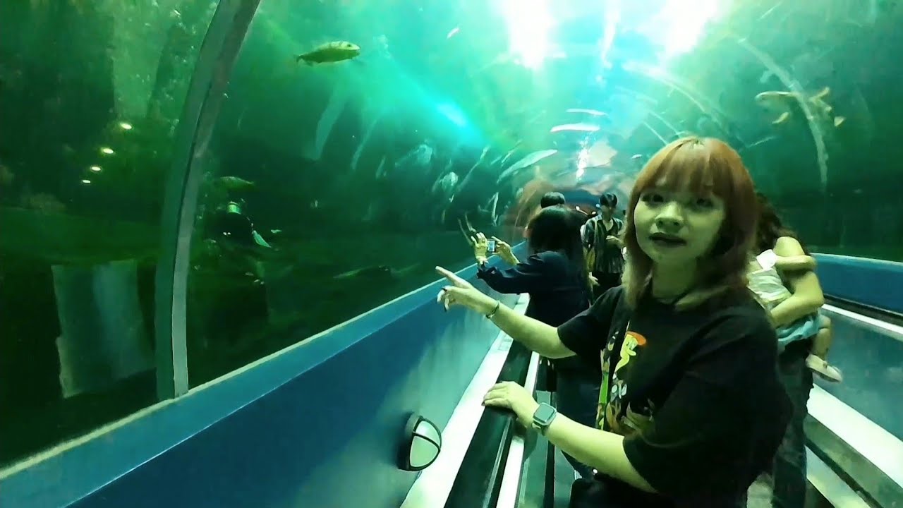 Bangsaen Aquarium Chonburi Thailand 