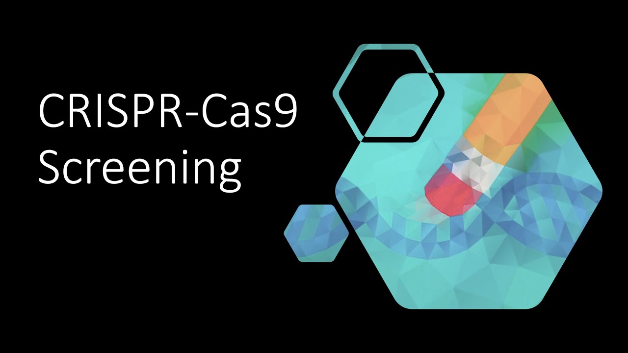 CRISPR Cas9 Screening
