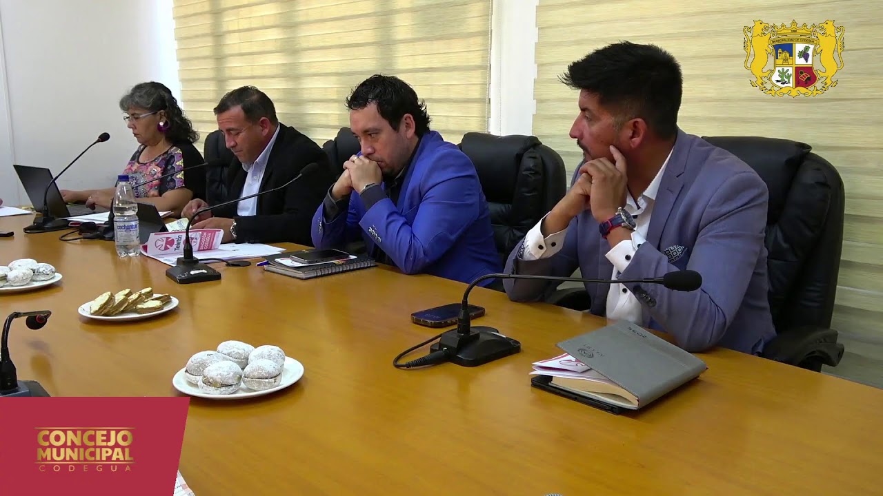 Concejo Municipal N° 035
