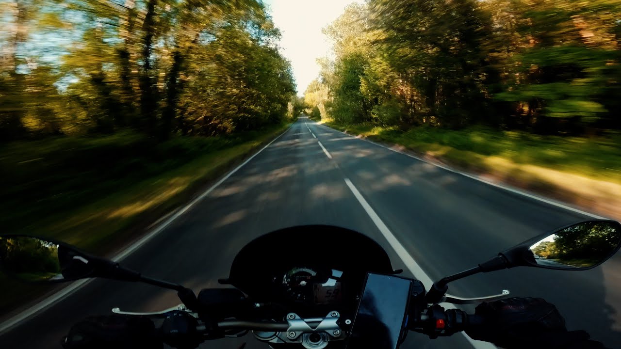 You Must See This Fantastic Forest Ride with Aprilia #asmr