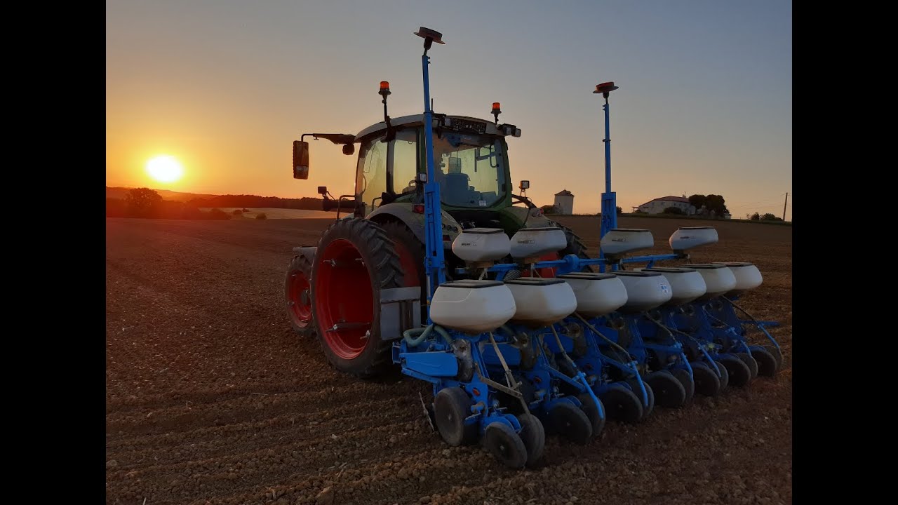 Semis de Tournesol Bio Décorticable  2021